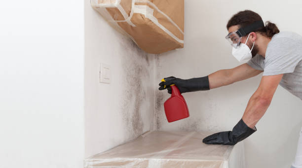 Professional Commercial Mold Remediation technician working in Farmington, IL
