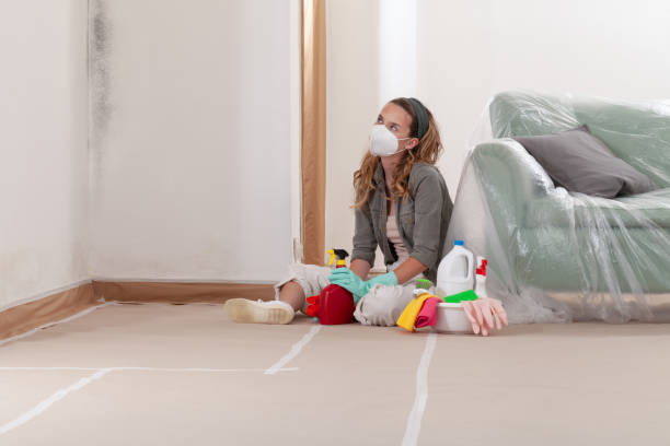 Reliable Commercial Mold Remediation contractor in Farmington, IL by WQB Mold Removal